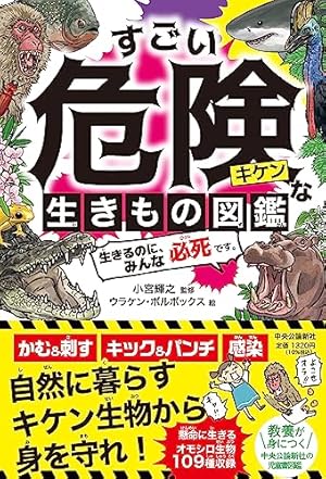 Amazon.co.jp: 真田幸村: 大阪冬の陣・夏の陣 : 広岡 ゆうえい
